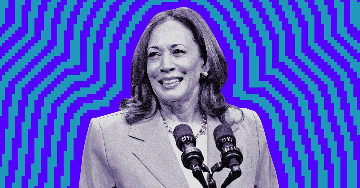 You are currently viewing Kamala Harris’ VC supporters raise $150,000 on a Zoom call